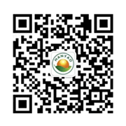 邯藥招聘微信公眾號